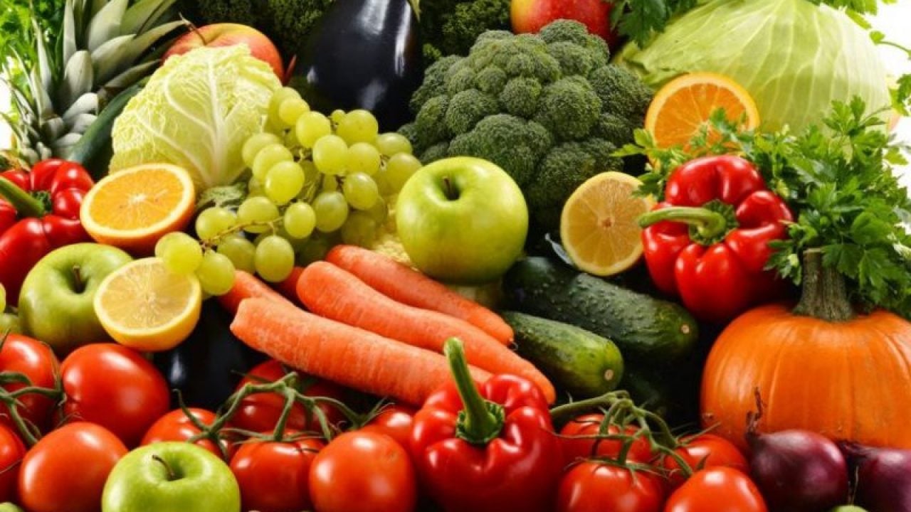 il cibo ha permesso una dieta leggera senza sprechi il cibo ha permesso una dieta leggera senza sprechi