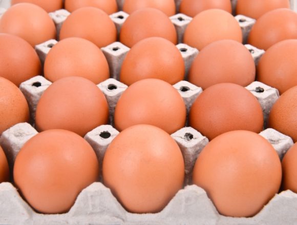 Ritirate uova biologiche italiane: sospetta presenza di salmonella enterica