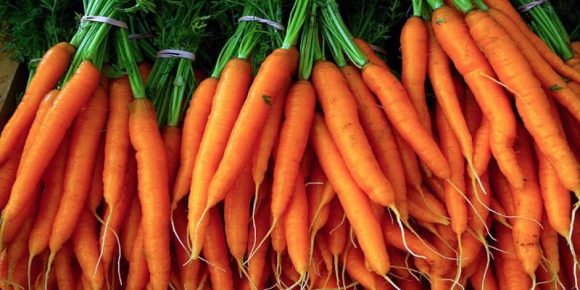 La dieta delle carote per dimagrire rapidamente