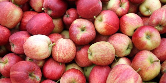 Abbassare il colesterolo cattivo e ridurre il rischio di infarto: basta mangiare 2 mele al giorno
