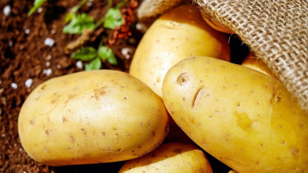 Dieta Delle Patate Ecco Come Perdere Fino A 5 Kg In 3