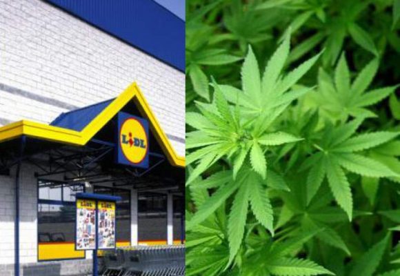 La cannabis legale venduta nei supermercati Lidl
