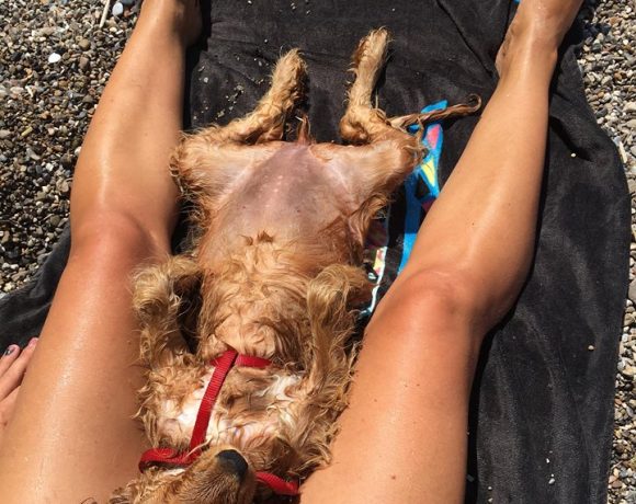 Doll al mare