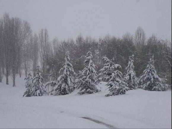 Meteo: in arrivo la neve fino in Pianura, ecco dove