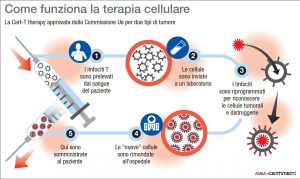 Tumore curabile con una nuova terapia: Car-T arriva anche in Europa Tumore curabile con una nuova terapia: Car-T arriva anche in Europa