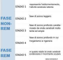 Paralisi del sonno: il mostro della notte. Semplice incubo o malattia? Paralisi del sonno: il mostro della notte. Semplice incubo o malattia?