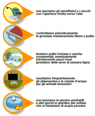 Sardegna: allarme circolazione virus febbre del Nilo. C'è pericolo? Sardegna: allarme circolazione virus febbre del Nilo. C'è pericolo?