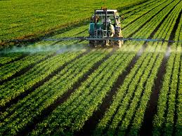 pesticidde sulla maggior parte dei terreni