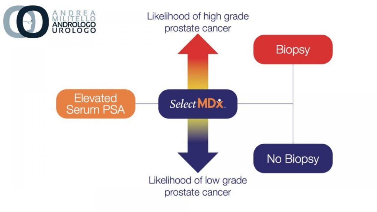 avvocati del cancro alla prostata