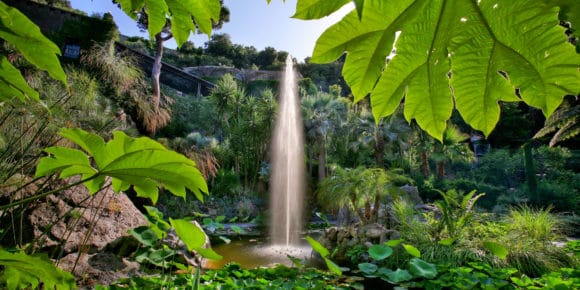 Ischia tra natura e musica: “Giardini La Mortella”