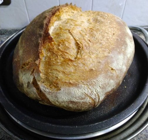 Pane fatto in casa con il forno sul fornello: ricetta semplice e veloce