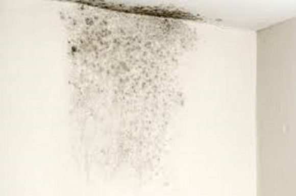 Come rimuovere efficacemente l’umidità dai muri