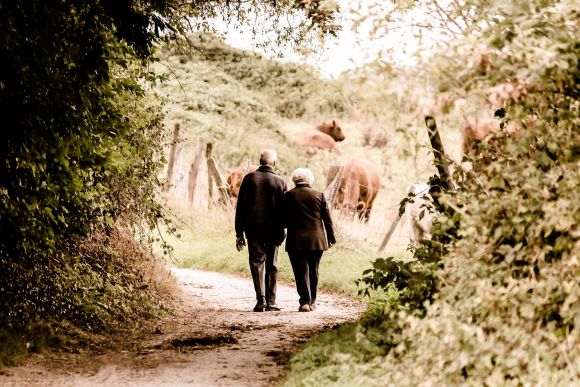 Pensioni news: dopo la decorrenza quando si può ricominciare a lavorare?