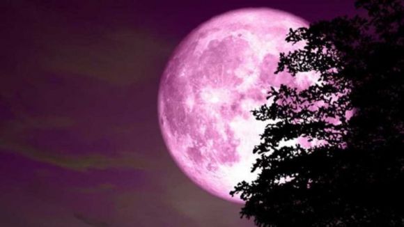 Super Luna Rosa: anche questa sera sarà possibile osservarla