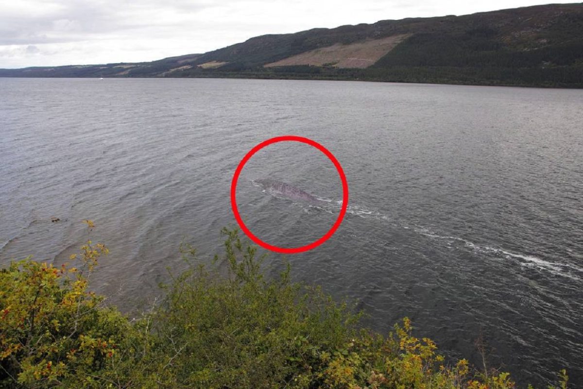 Creatura misteriosa in foto di un turista: è il mostro di Loch Ness?