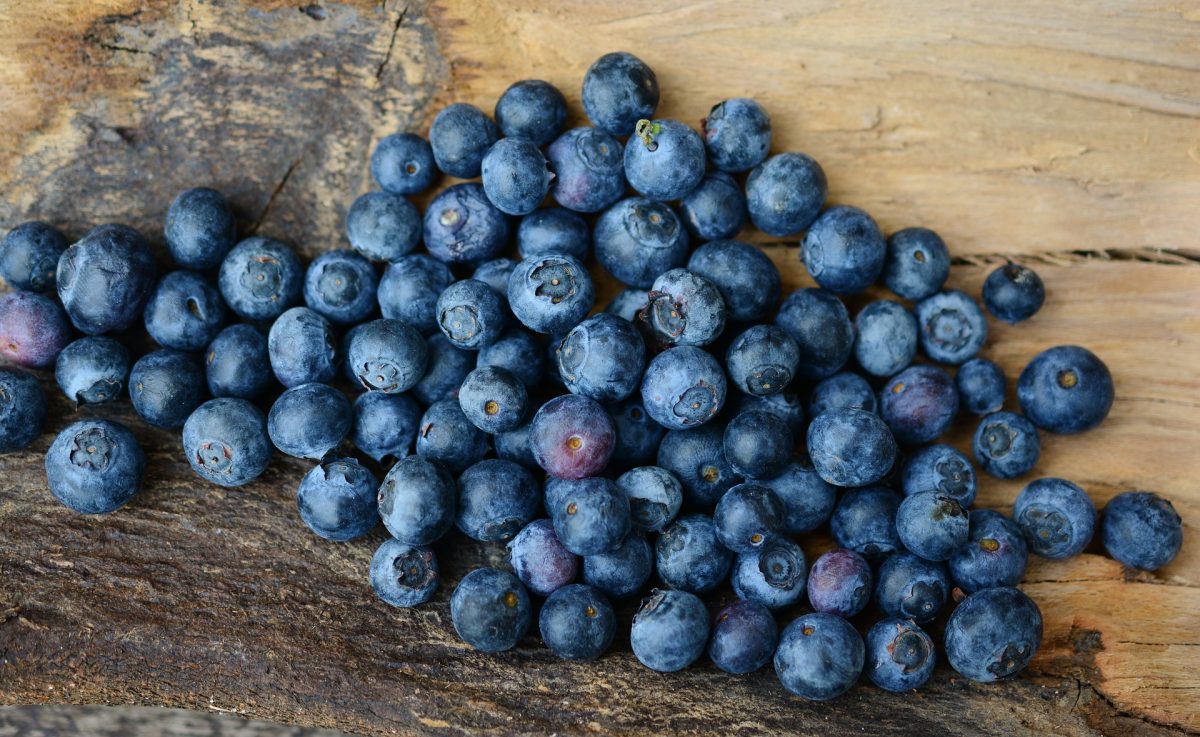 Mirtilli: le proprietà di tali frutti antitumorali ed antiossidanti