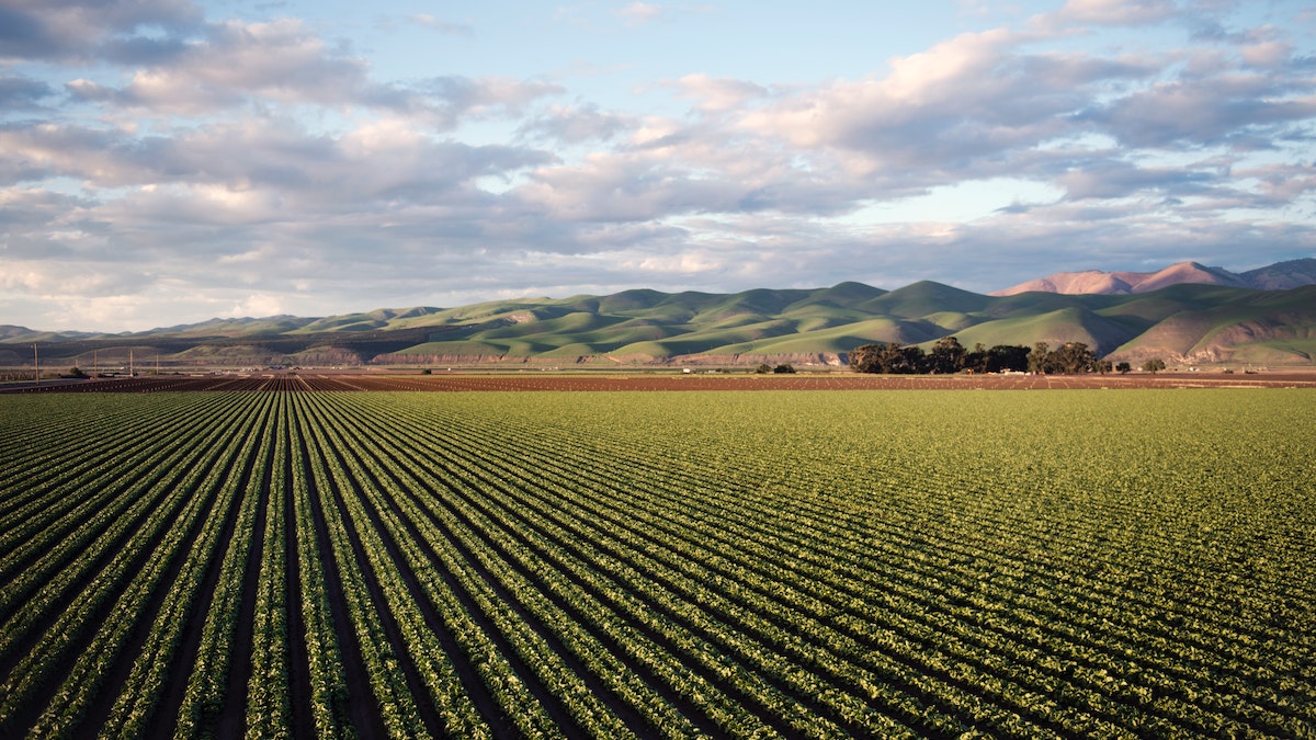 Bonus imprenditori agricoli 2023: come avere l’esonero contributivo